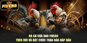 Đá Gà Cựa Dao Five88 - Theo Dõi Và Đặt Cược Trận Đấu Hấp Dẫn