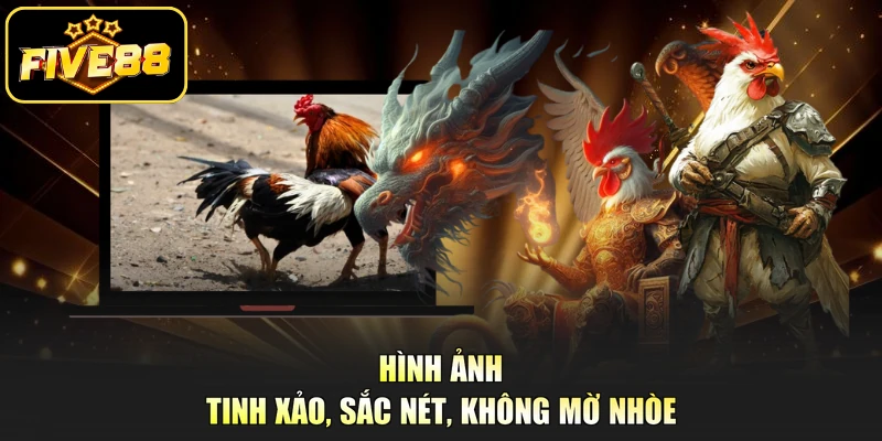 Hình ảnh tinh xảo, sắc nét, không mờ nhòe