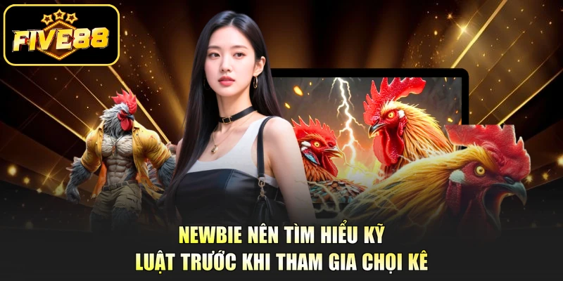 Newbie nên tìm hiểu kỹ luật trước khi tham gia chọi kê