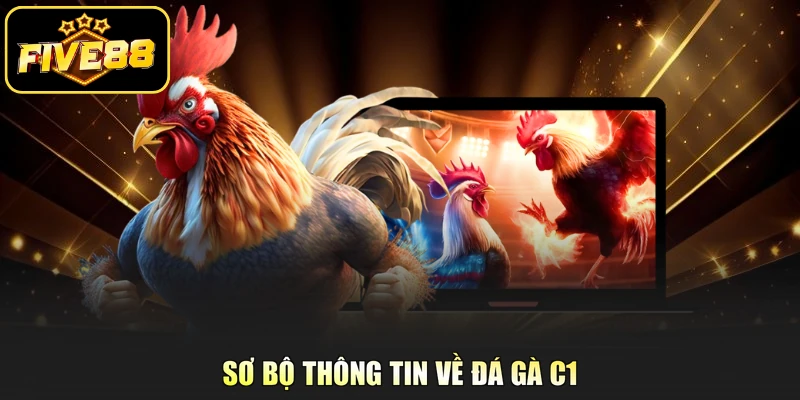 Sơ bộ thông tin về đá gà C1